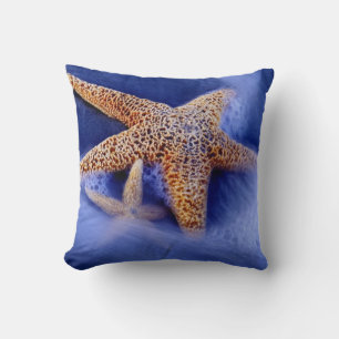 Coussin États-Unis, Caroline du Sud, Hilton Head Island. D