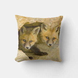 Coussin États-Unis, Colorado, Breckenridge. Renard roux cu