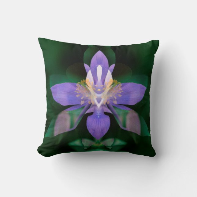 Coussin États-Unis, Colorado, comté de Boulder (Recto)