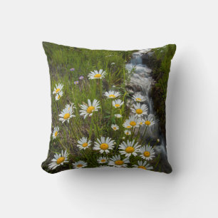 Coussin États-Unis, Colorado, Montagnes de San Juan. Margu
