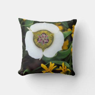 Coussin États-Unis, Colorado. Tulipe Mariposa
