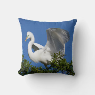 Coussin États-Unis, Floride, St. Augustine, Aigrette