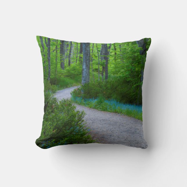 Coussin États-Unis, Michigan. Chemin à travers les bois (Recto)
