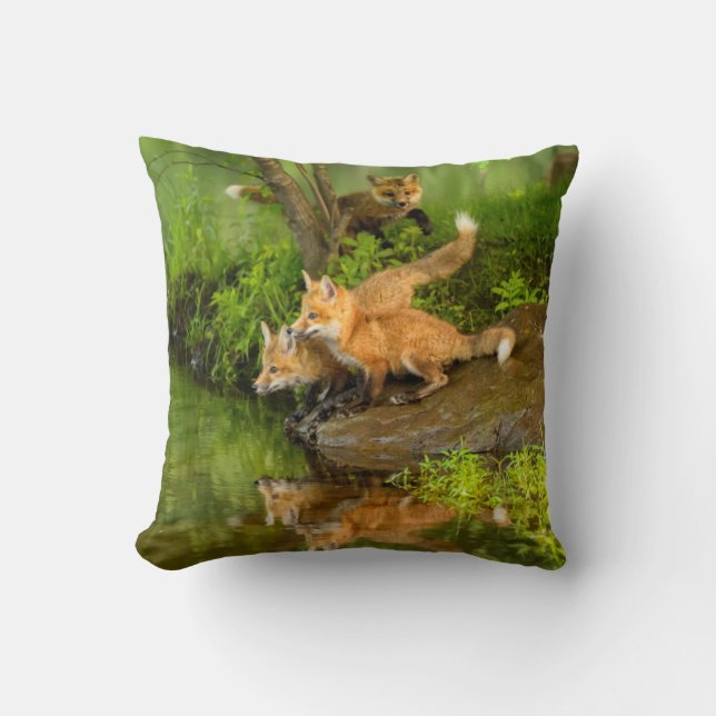 Coussin États-Unis, Minnesota, Sandstone, faune du Minneso (Recto)