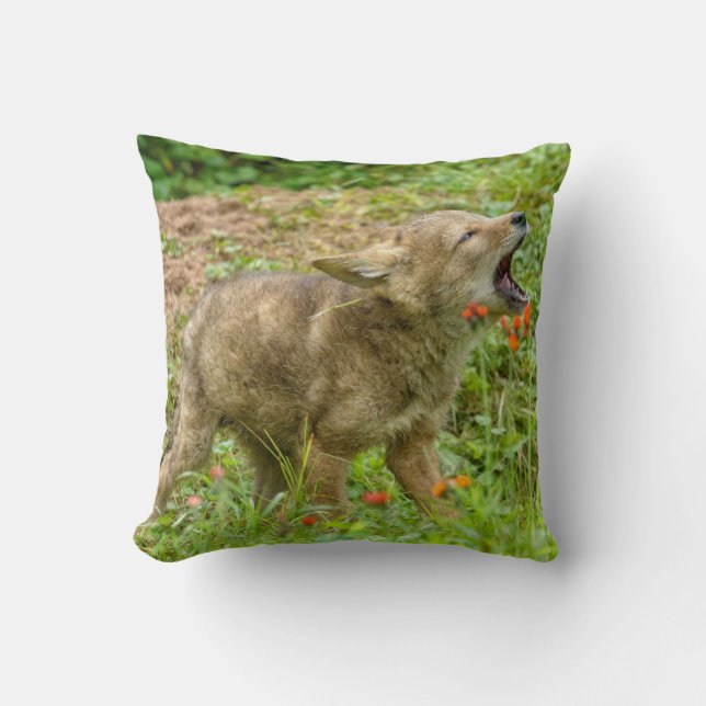 Coussin États-Unis, Minnesota, Sandstone, faune du Minneso (Recto)