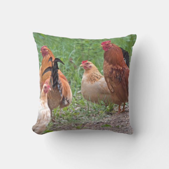 Coussin États-Unis, Nebraska. Poules (Recto)