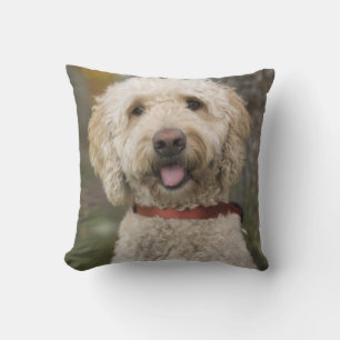 Coussin États-Unis, Nouvelle-Angleterre, Massachusetts, Re
