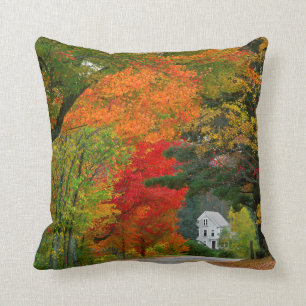 Coussin États-Unis, Nouvelle-Angleterre, New Hampshire, An
