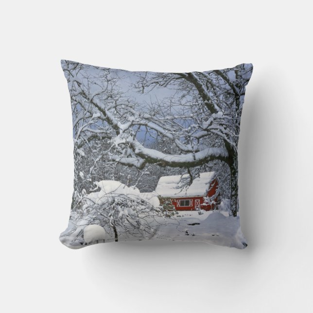 Coussin États-Unis, Oregon, comté de Clackamas. Neige fraî (Recto)