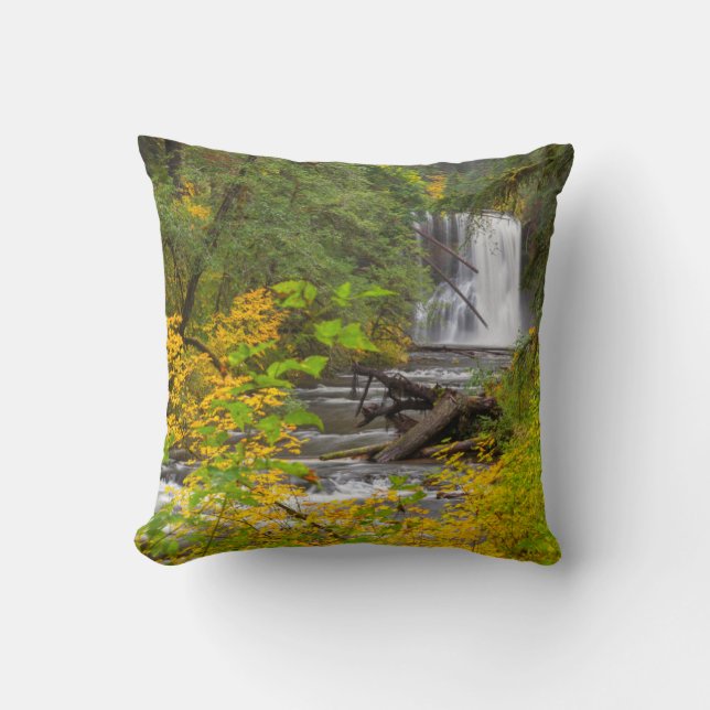 Coussin États-Unis, Oregon, Silver Falls State Park 2 (Recto)