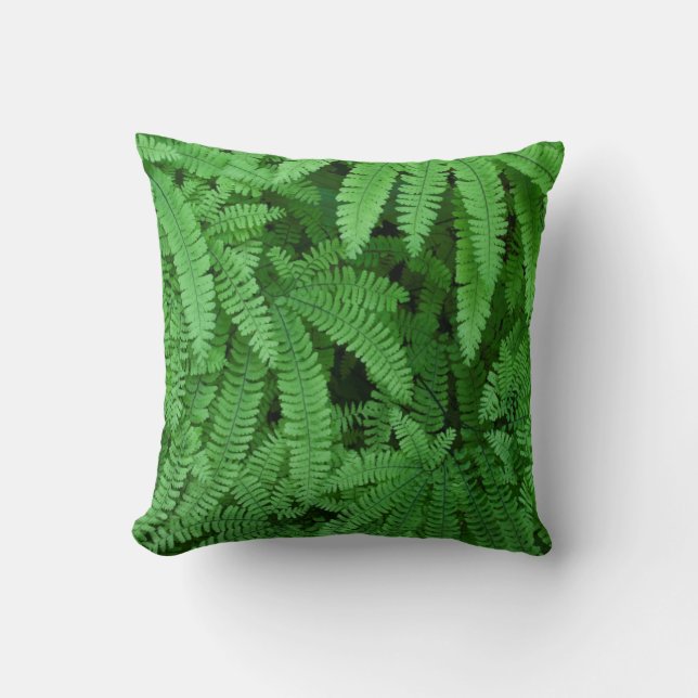 Coussin États-Unis, Oregon, Silverton. Adiante pédatée (Recto)