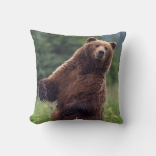 Coussin États-Unis, sud-est de l'Alaska, ours brun et ours