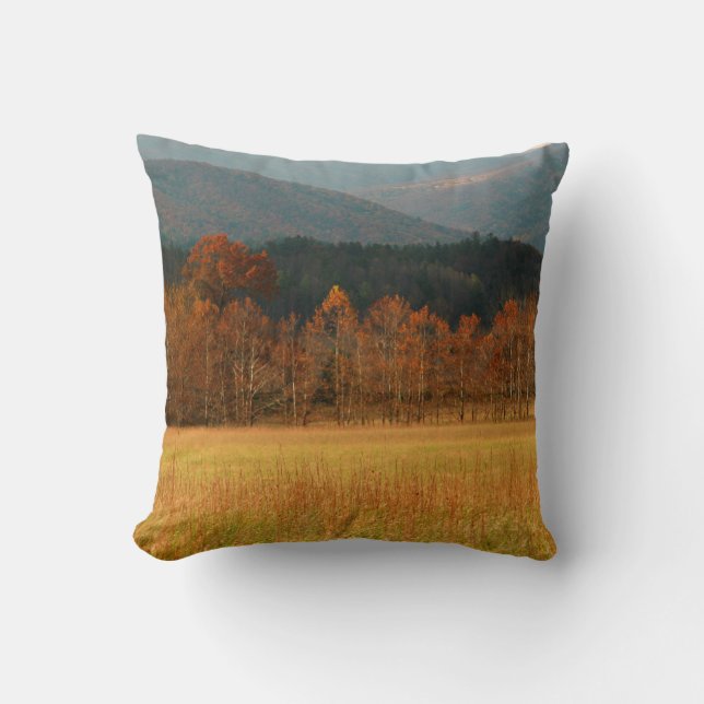 Coussin États-Unis, Tennessee. Cades Cove In Smoky Mountai (Recto)