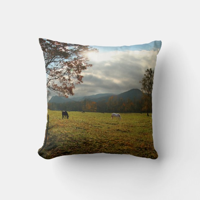 Coussin États-Unis, Tennessee. Chevaux dans la vallée de C (Recto)