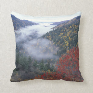 Coussin États-Unis, Tennessee, Great Smokey Mountains Nati