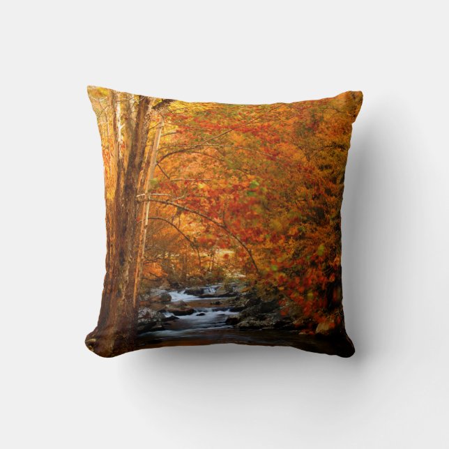 Coussin États-Unis, Tennessee. Rushing Mountain Creek 2 (Recto)