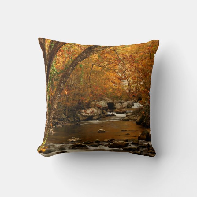 Coussin États-Unis, Tennessee. Rushing Mountain Creek 3 (Recto)