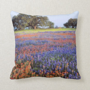 Coussin États-Unis, Texas, Llano. Bluebonnets et redbonnet