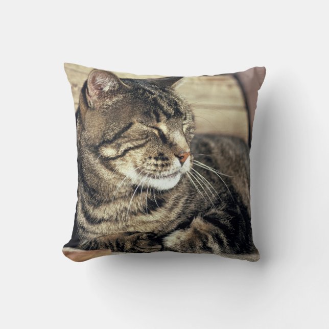 Coussin États-Unis, Utah, Parc national de Capitol Reef. C (Recto)