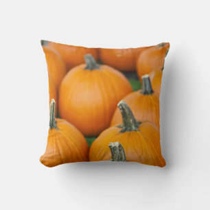 Coussin États-Unis, Virginie-Occidentale, Charleston. Capi