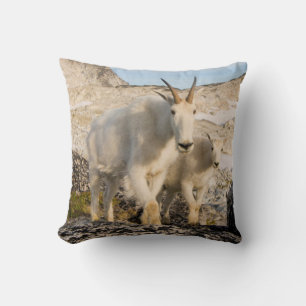 Coussin États-Unis, Washington, chaîne des Cascades 2