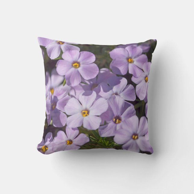 Coussin États-Unis, Washington, chaîne des Cascades 6 (Recto)