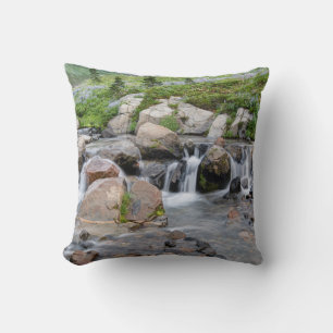 Coussin États-Unis, Washington, Parc national du mont Rain