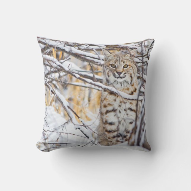 Coussin États-Unis, Wyoming, Bobcat (Recto)
