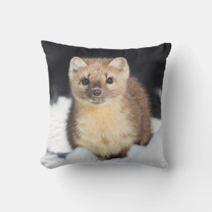 Coussin États-Unis, Wyoming, Parc national de Yellowstone