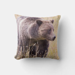 Coussin États-Unis, Wyoming, Parc national de Yellowstone,