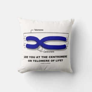 Coussin Êtes-vous au centromère ou au télomère de la vie ?