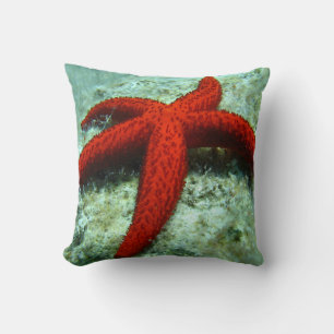 Coussin Étoile de mer orange décoration de plage nautique