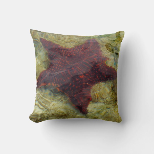 Coussin Étoile de mer sous-marine aux Bahamas (Recto)