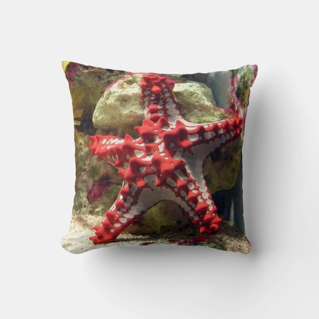 Coussin Étoiles de mer Knobbed rouges - tir incroyable (Recto)