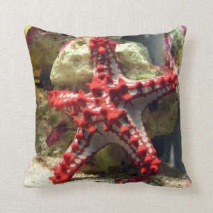 Coussin Étoiles de mer Knobbed rouges - tir incroyable
