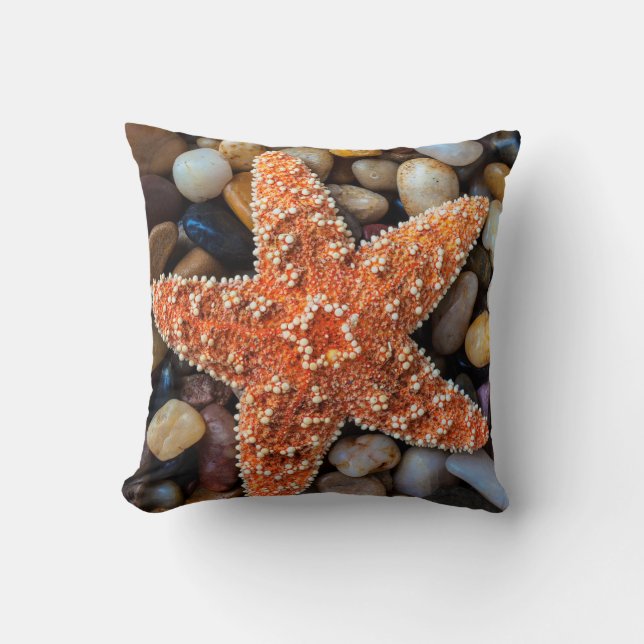 Coussin Étoiles de mer sur des roches (Recto)
