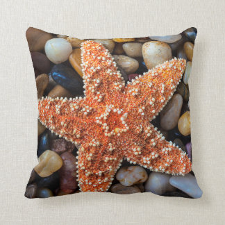 Coussin Étoiles de mer sur des roches