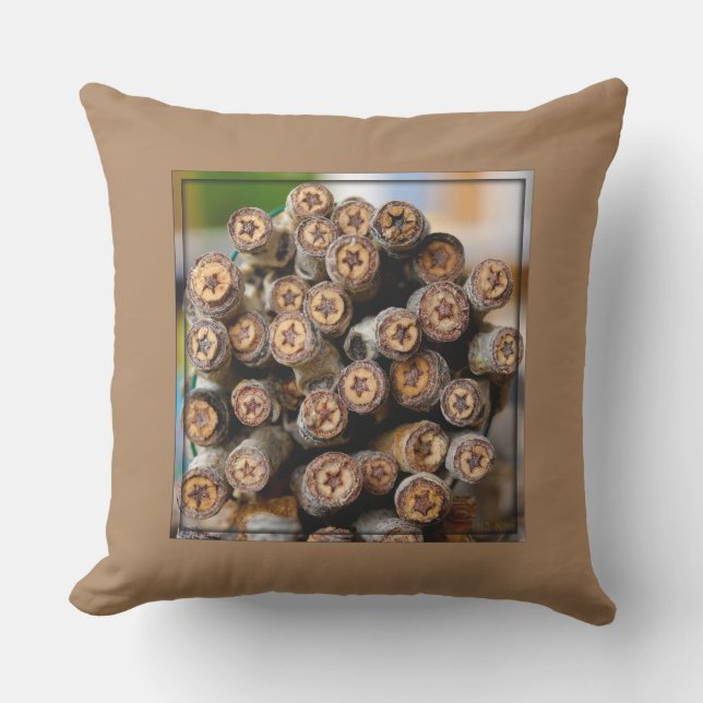 Coussin Etoiles le long du Rio Grande Cotton Wood Trees (Recto)