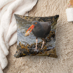 Coussin Étonnant oiseau de rivage noir à l'huître avec écu