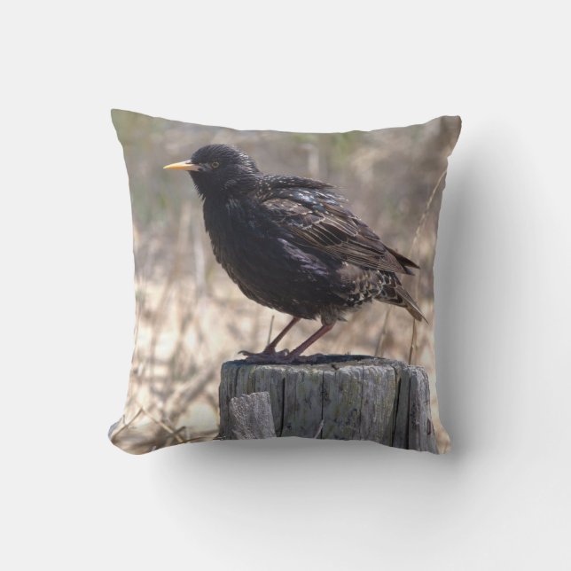 Coussin Étourneau sur un poteau en bois (Recto)