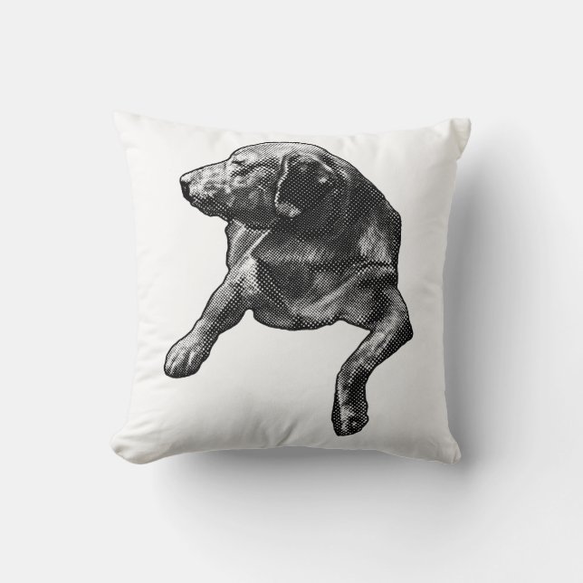 Coussin Étude baisée pour les chambres d'hiver (Recto)