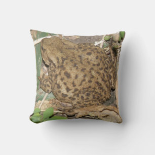 Coussin européen commun de crapaud