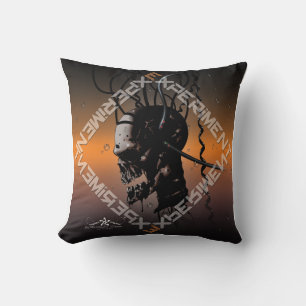 COUSSIN EXPÉRIENCE