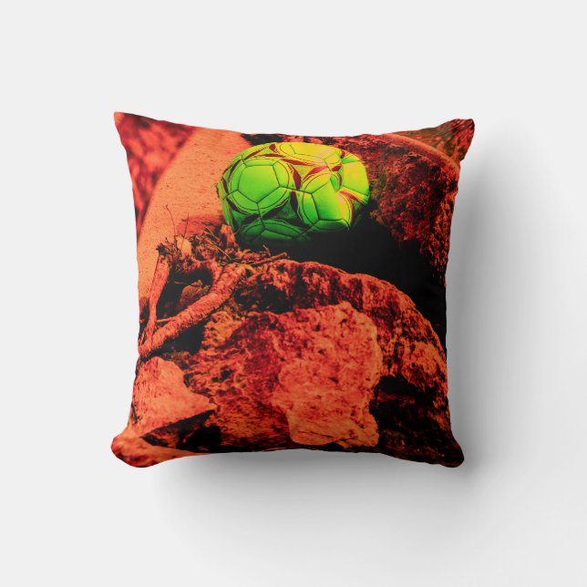 Coussin explorateur de moustiques (Recto)