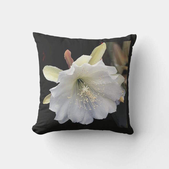 Coussin extérieur 16 x 16 (Recto)