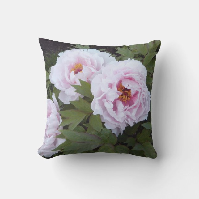 Coussin extérieur de tissu de jolie pivoine (Recto)