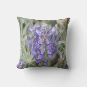 Coussin F18 Fleurs sauvages violettes Lupin annuel