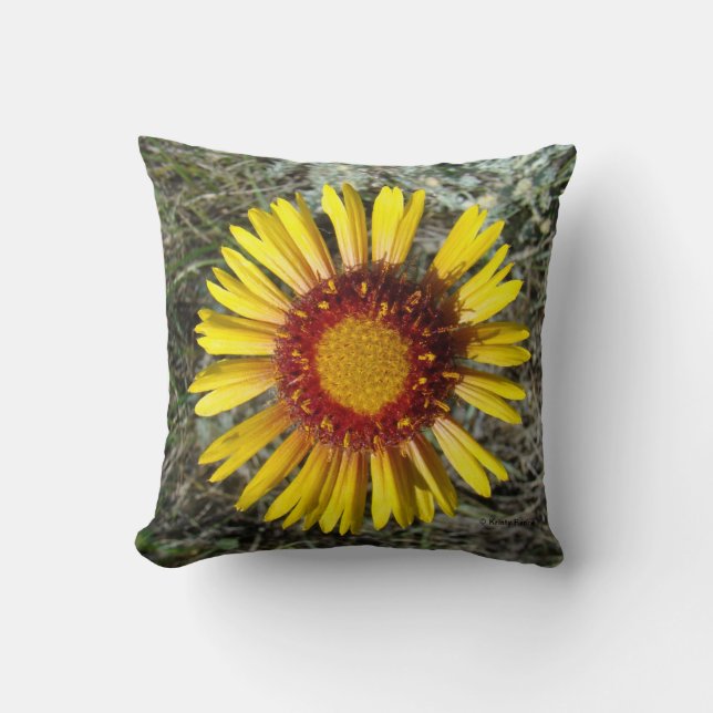 Coussin F1 Gaillardia fleur sauvage jaune (Recto)