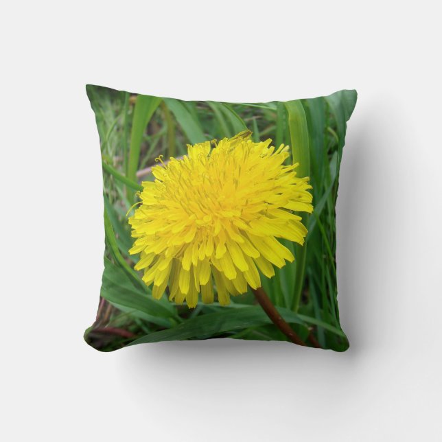 Coussin F45 Pissenlit "Taraxacum officinale" (Recto)