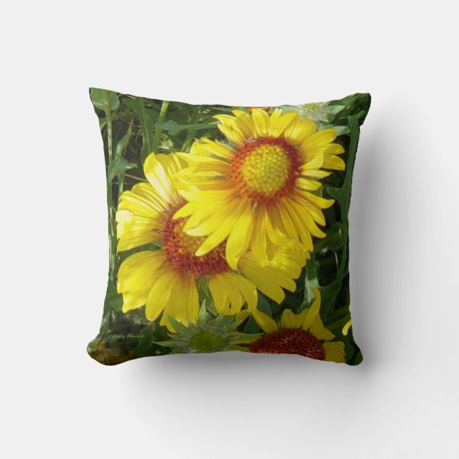Coussin F6 Fleurs sauvages jaunes Gaillardia (Recto)